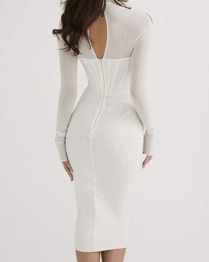 Sexy Mesh Long Sleeve Dress