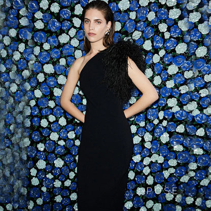 Aryana Feather One-Shoulder Gown