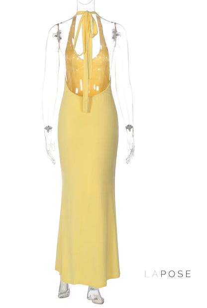 Holley Backless Halter Maxi Dress