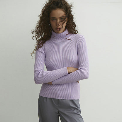 Turtleneck Knitted Sweater Winter Women Basic Casual Slim Pullover Knitwear