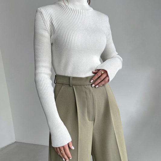 Turtleneck Knitted Sweater Winter Women Basic Casual Slim Pullover Knitwear