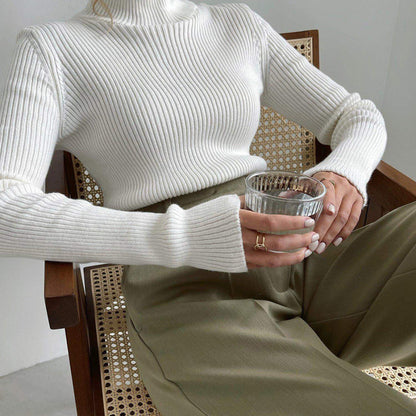 Turtleneck Knitted Sweater Winter Women Basic Casual Slim Pullover Knitwear