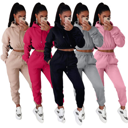 Women Fashion Casual Athleisure Solid Color Hooded And Pants Sports Set