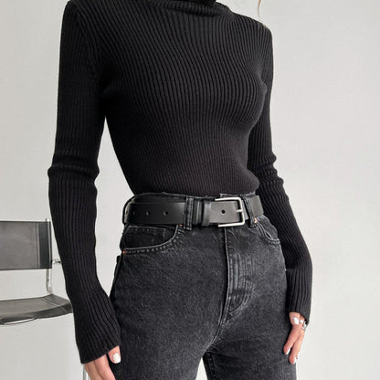Turtleneck Knitted Sweater Winter Women Basic Casual Slim Pullover Knitwear