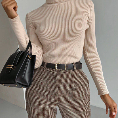 Turtleneck Knitted Sweater Winter Women Basic Casual Slim Pullover Knitwear