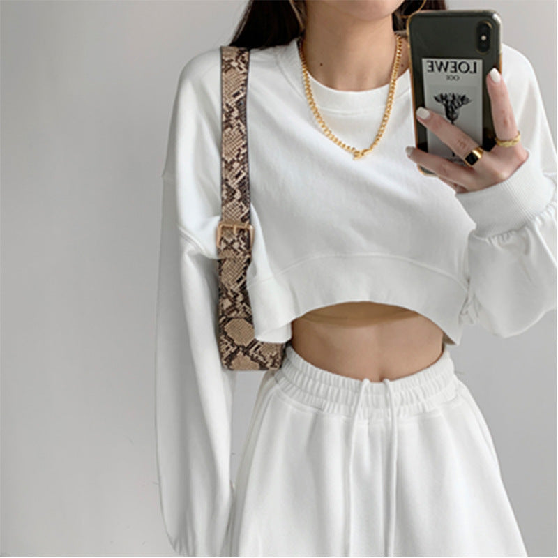 Women Basic Casual Edgy Long Sleeve Autumn Solid Color Crop Top