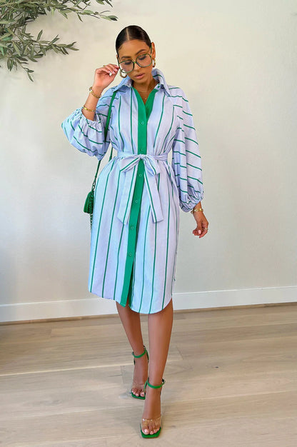 Fashion Women Stripe Print Casual Long Sleeve Lapel Shirt Dress