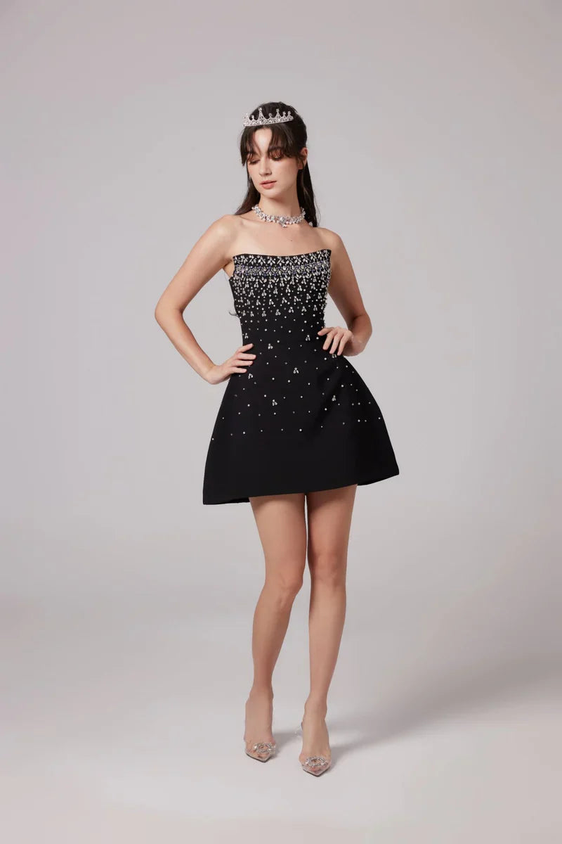 Natasha Mini Dress