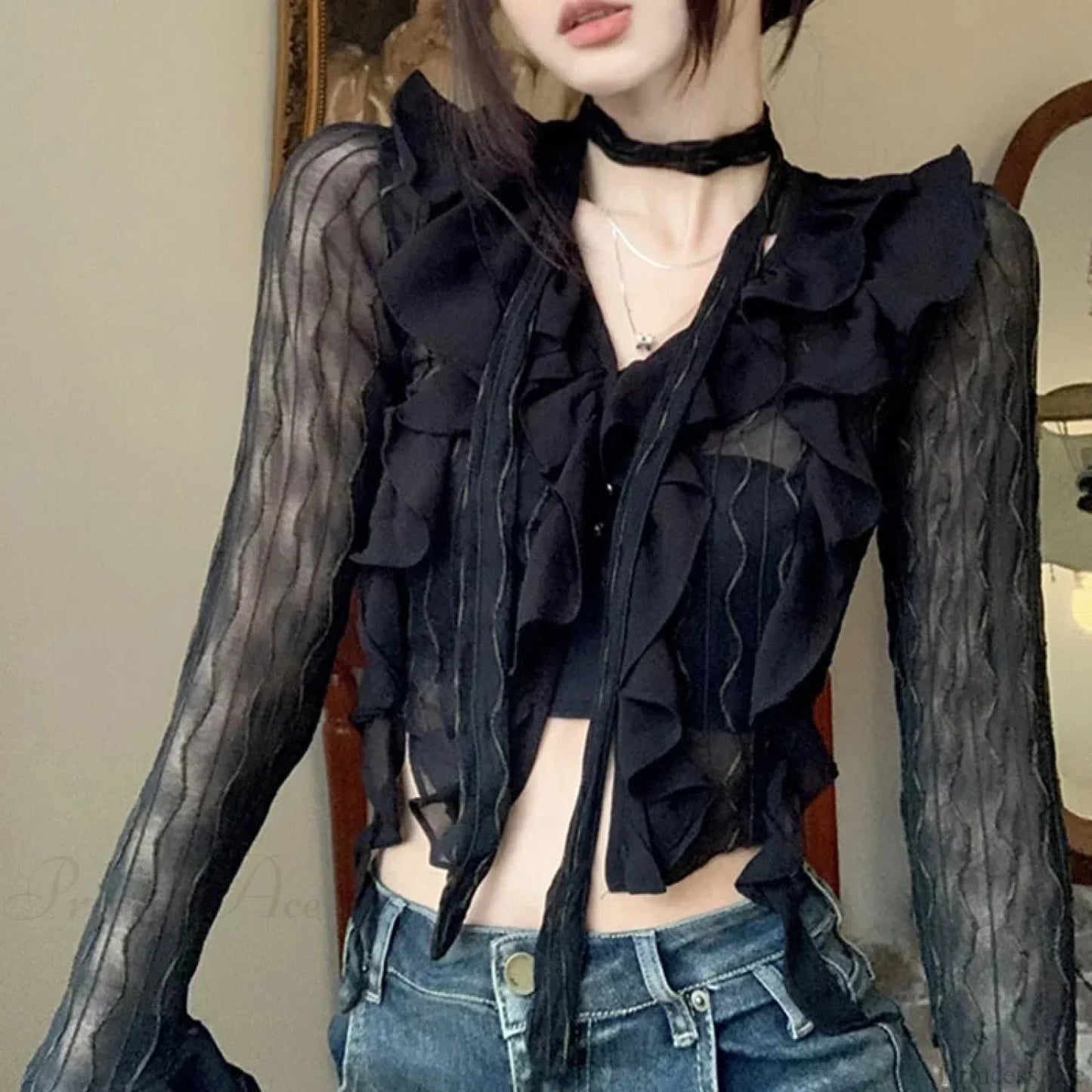 Transparent V-neck Flared Sleeve Blouse