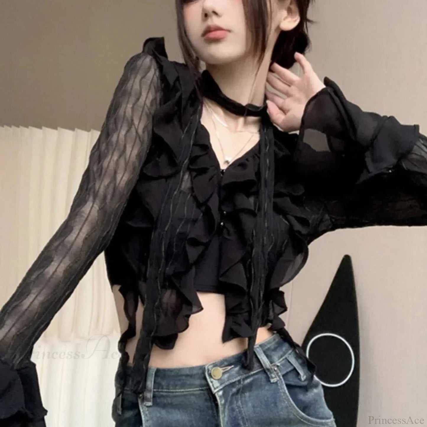 Transparent V-neck Flared Sleeve Blouse