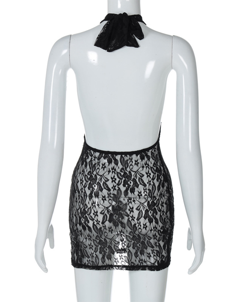 Lace Hip-Hugging Slim Dress