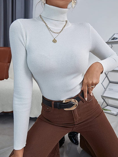 3 pieces Women's Pullover Sweater Jumper Ribbed Knit Knitted Thin Solid Color Turtleneck Basic Casual Daily Winter Fall Black White Gray Brown